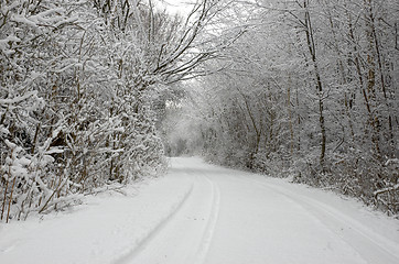 Image showing Winter wonderland