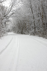 Image showing Winter wonderland