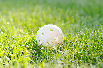 Image showing floorbal ball in green grass