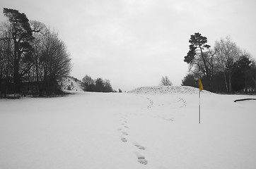 Image showing Hole in snow