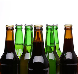 Image showing Closed bottles of beer isolated on a white background