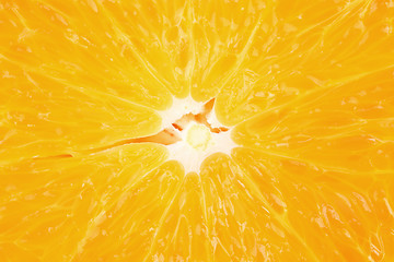 Image showing Orange pulp