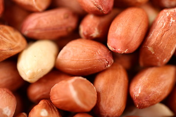 Image showing Extreme close-up image of peanuts