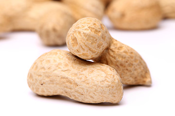 Image showing Three peanuts in closeup