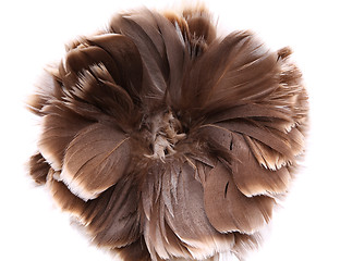 Image showing End feather duster close-up