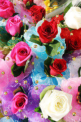 Image showing Multi-colored roses