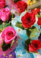 Image showing Multi-colored roses