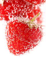 Image showing Sparkling wine (champagne) and strawberry