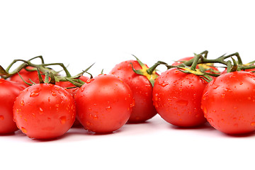 Image showing Two Cluster of Tomatoes