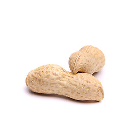 Image showing Two pods of peanuts