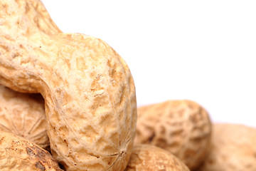 Image showing Roasted in-shell peanuts close-up.