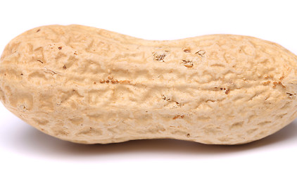 Image showing A light pod of peanuts