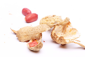 Image showing peanuts peel isolated on white background