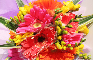 Image showing Colorful flowers