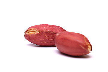 Image showing Two kernels of peanut