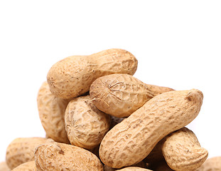 Image showing White background and peanuts