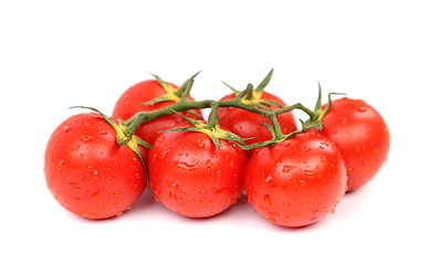 Image showing Cluster of Tomatoes