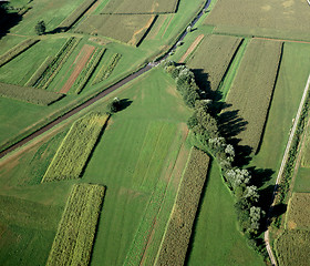 Image showing countryside