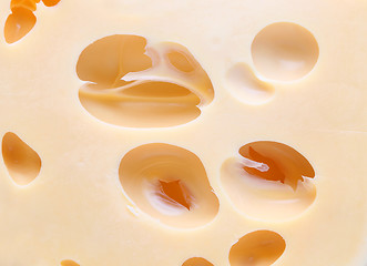Image showing Close up cheese with holes