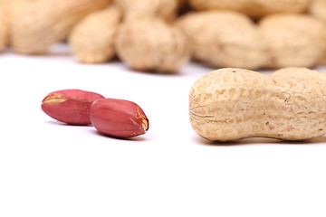 Image showing Two peanut kernels and peanut close-up