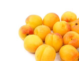 Image showing A lot of fresh apricots