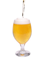 Image showing Beer glass of light beer stream