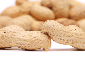 Image showing Backgroun of the two peanuts