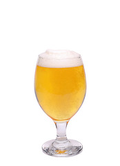 Image showing Glass of beer