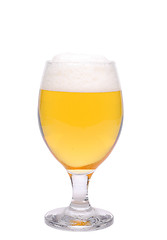 Image showing A wine goblet of beer