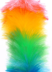 Image showing Soft colorful duster close-up