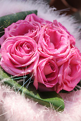 Image showing Pink roses