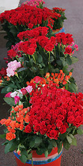 Image showing At the flower market