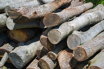 Image showing Woodpile