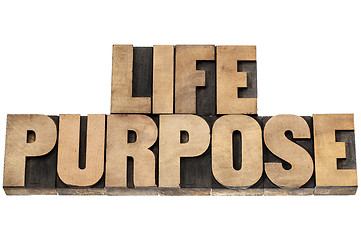 Image showing life purpose in wood type