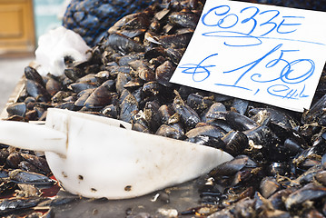 Image showing mussels for sale at the local market