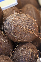 Image showing fresh coconuts at local market