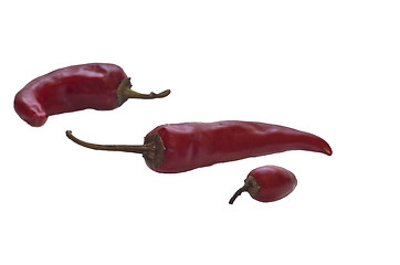 Image showing Red hot chili peppers