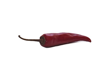 Image showing Red hot chili pepper