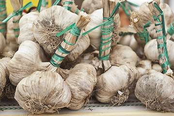 Image showing fresh garlic for sale