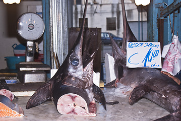 Image showing Swordfish for sale at market