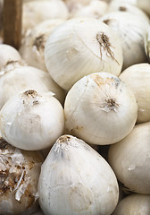 Image showing Fresh white onions
