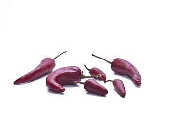 Image showing Fresh red hot chili peppers