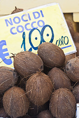 Image showing fresh coconuts at local market