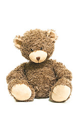 Image showing Teddy Bear