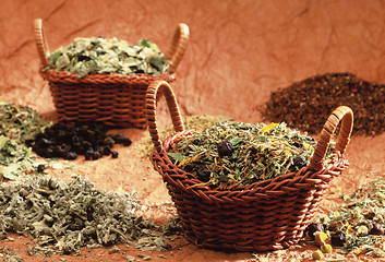 Image showing herb