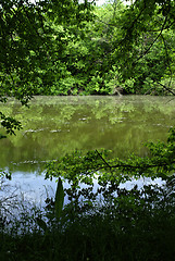 Image showing Forest River