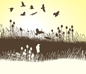 Image showing Crows on the meadow