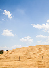 Image showing Country in Tuscany