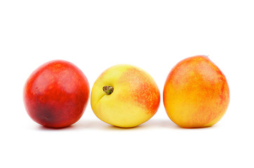 Image showing Three Nectarines