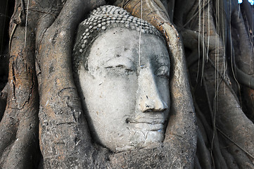 Image showing Head of a historical Sandstone Buddha